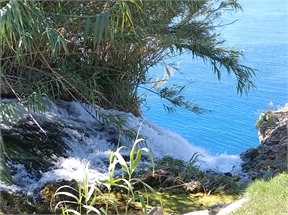 IMG_20240507_100135_285